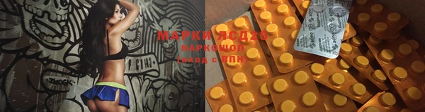 хмурый Алзамай