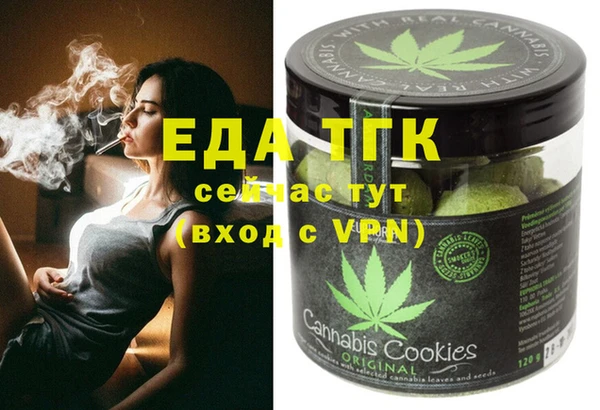хмурый Алзамай