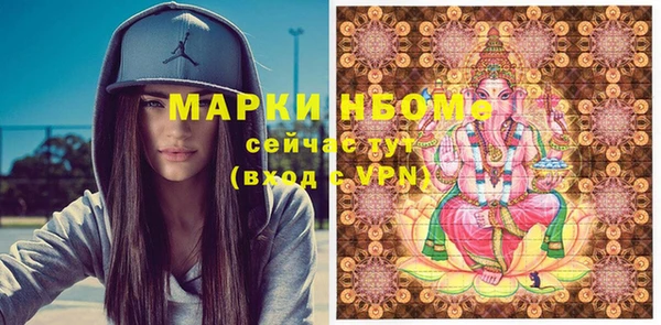 хмурый Алзамай