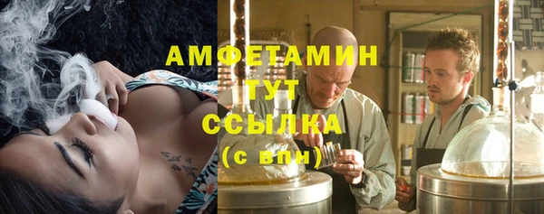 хмурый Алзамай