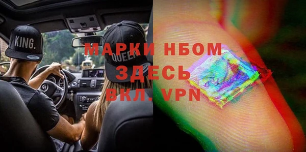 хмурый Алзамай